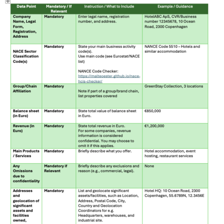 EFRAG VSME Reporting Template & Guidelines: Comprehensive Module