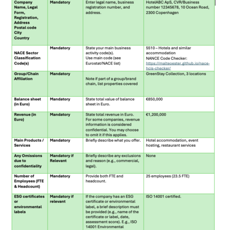 EFRAG VSME Reporting Template & Guidelines: Basic Module
