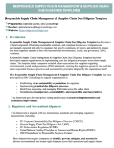 Responsible Supply Chain Management & Supplier Chain Due Diligence Template